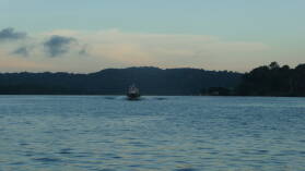 Das Pilot Boat kommt wieder...