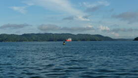 Auf dem Weg durch den Gatun Lake.