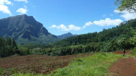 Wanderung im Valle d'Opunohu.