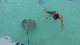 "Stingray World"