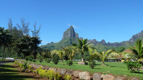 Moorea (F)