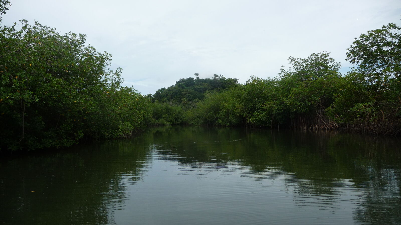 Ibedi Tiwar, Mulatupu.