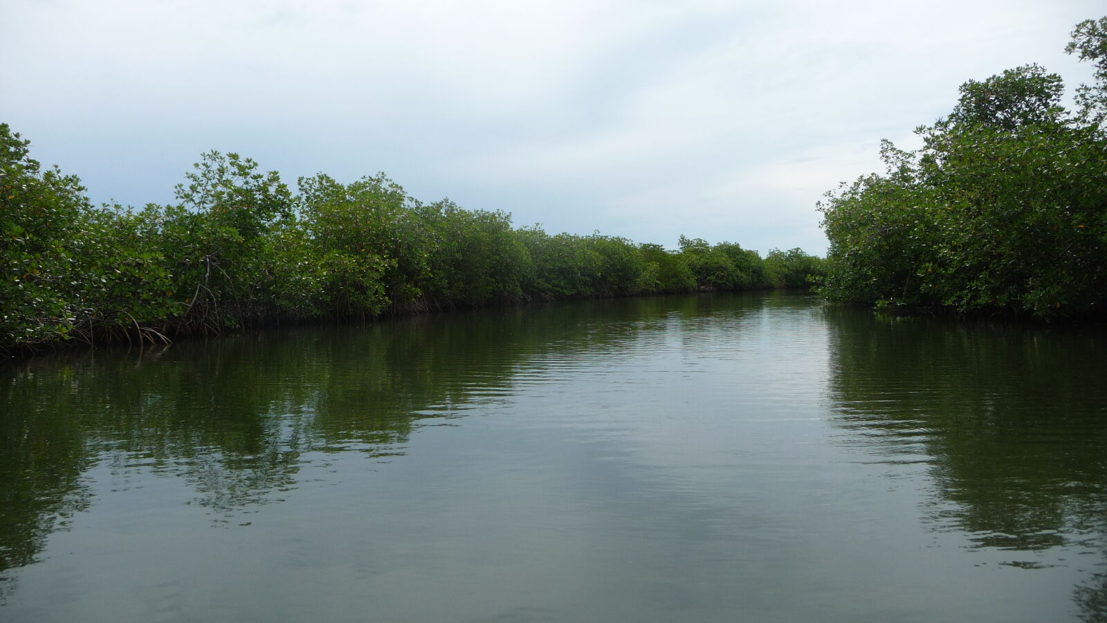Ibedi Tiwar, Mulatupu.