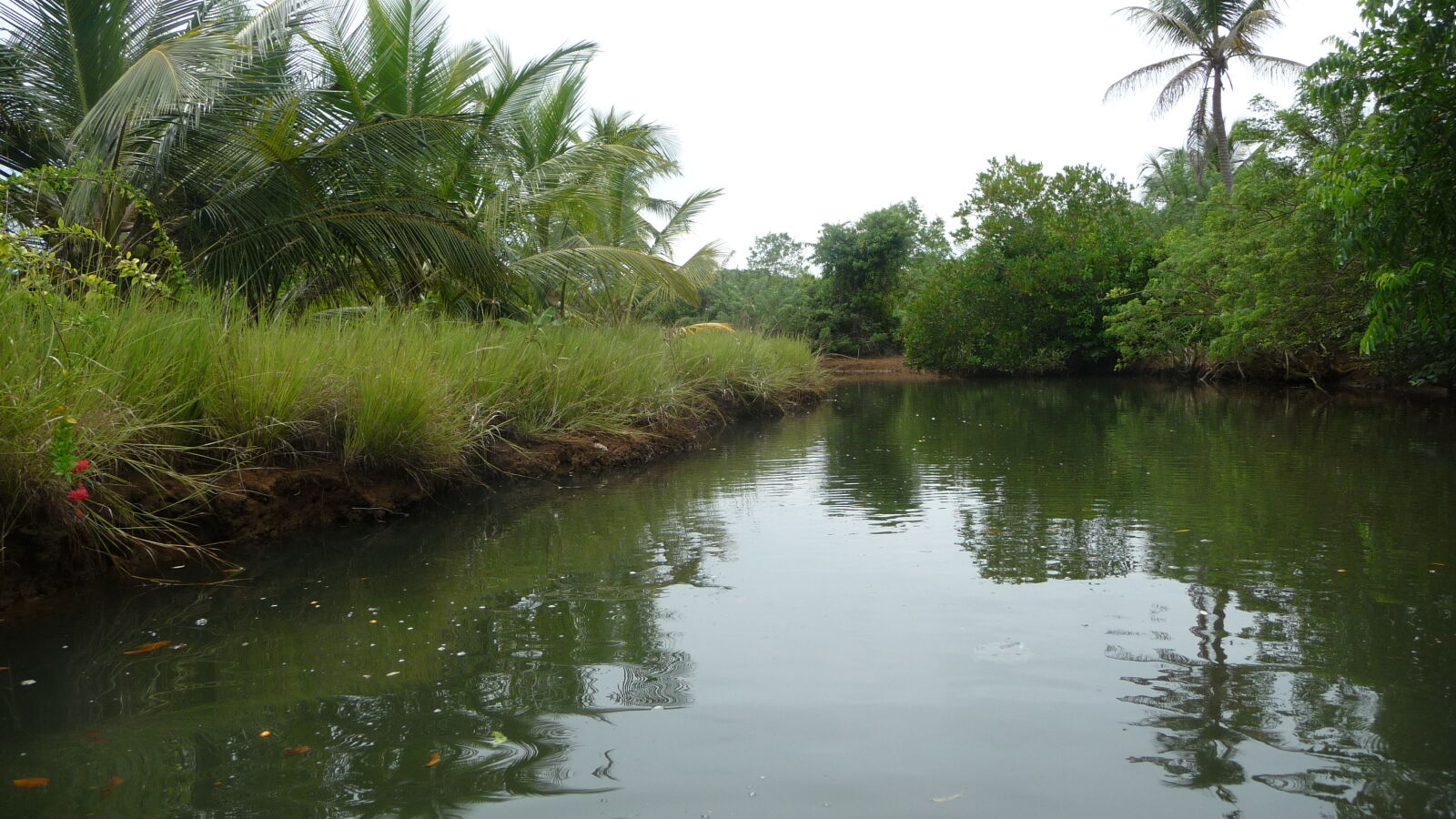 Ibedi Tiwar, Mulatupu.