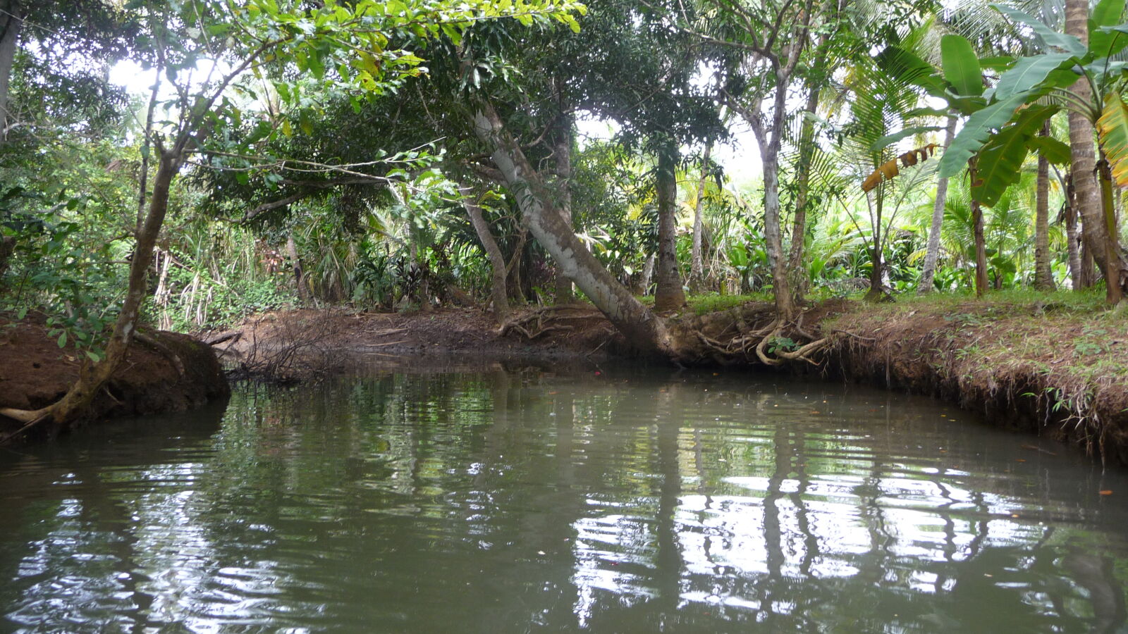 Ibedi Tiwar, Mulatupu.