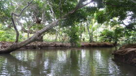 Ibedi Tiwar, Mulatupu.