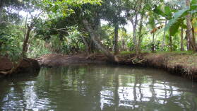 Ibedi Tiwar, Mulatupu.