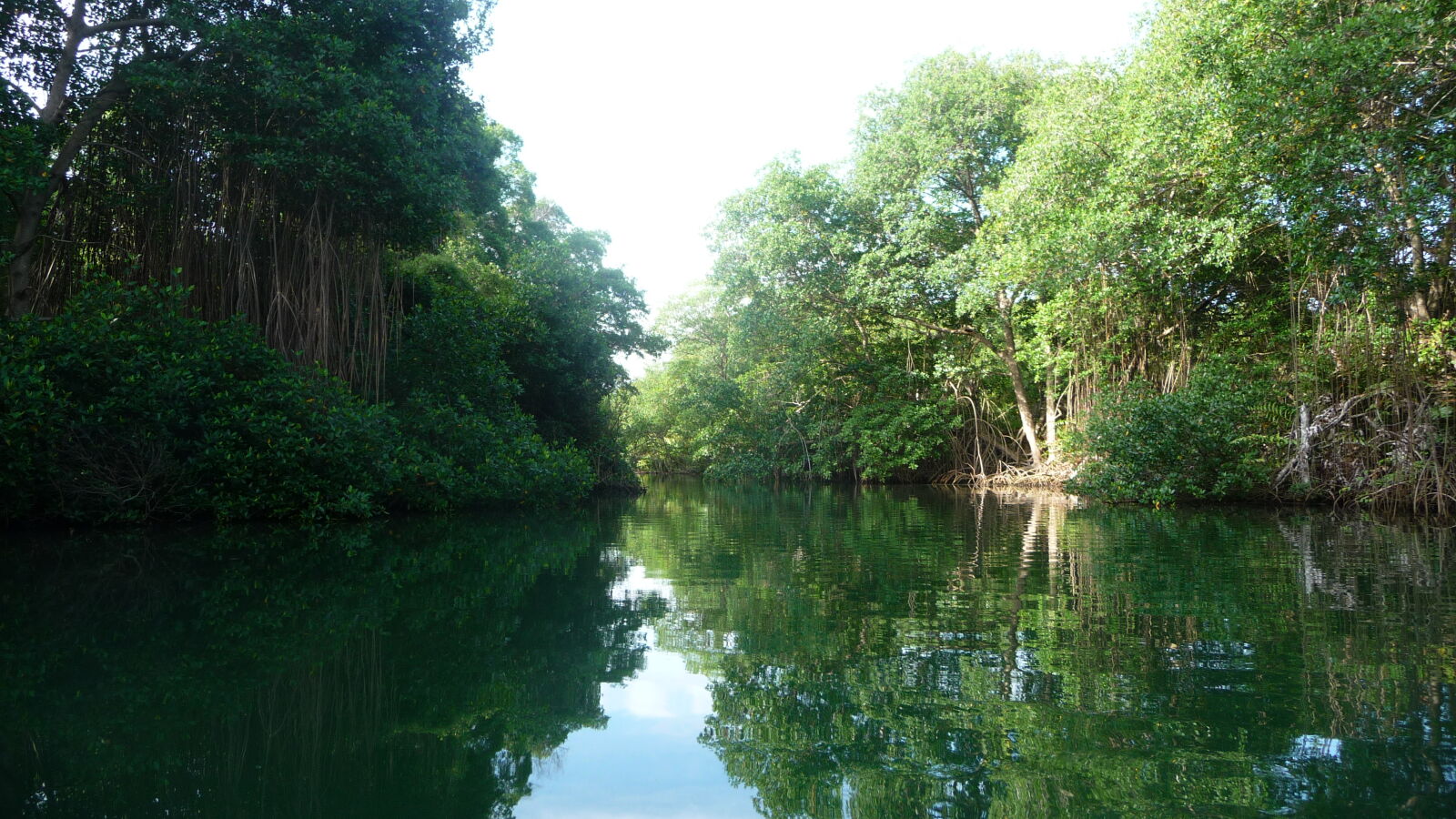 Dinghy-Tour im Rio Diablo.
