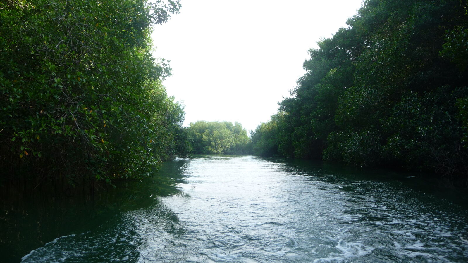 Dinghy-Tour im Rio Diablo.