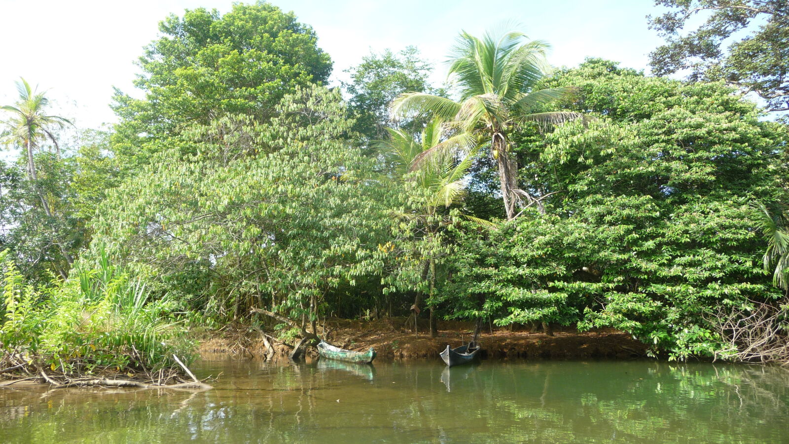 Dinghy-Tour im Rio Diablo.