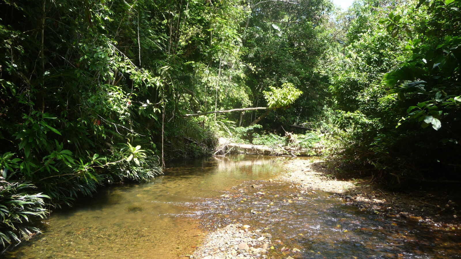 Wanderung entlang der Rio Diablo Wasserleitung.