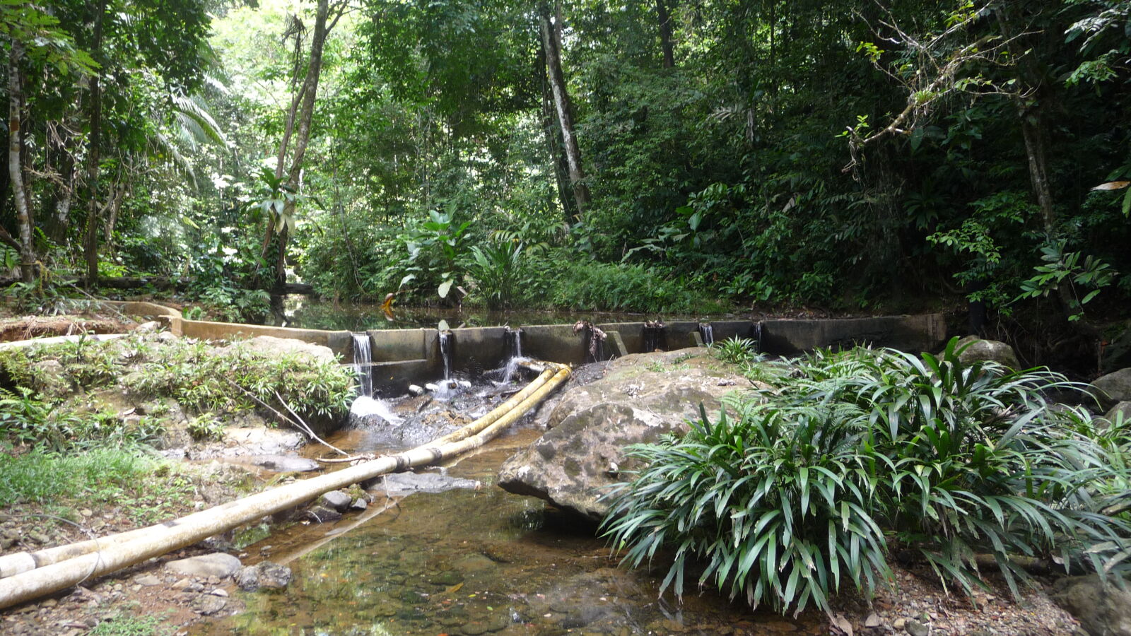 Wanderung entlang der Rio Diablo Wasserleitung.