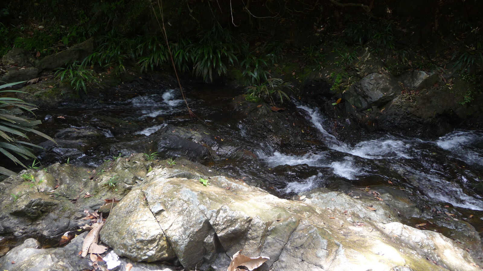Wanderung entlang der Rio Diablo Wasserleitung.