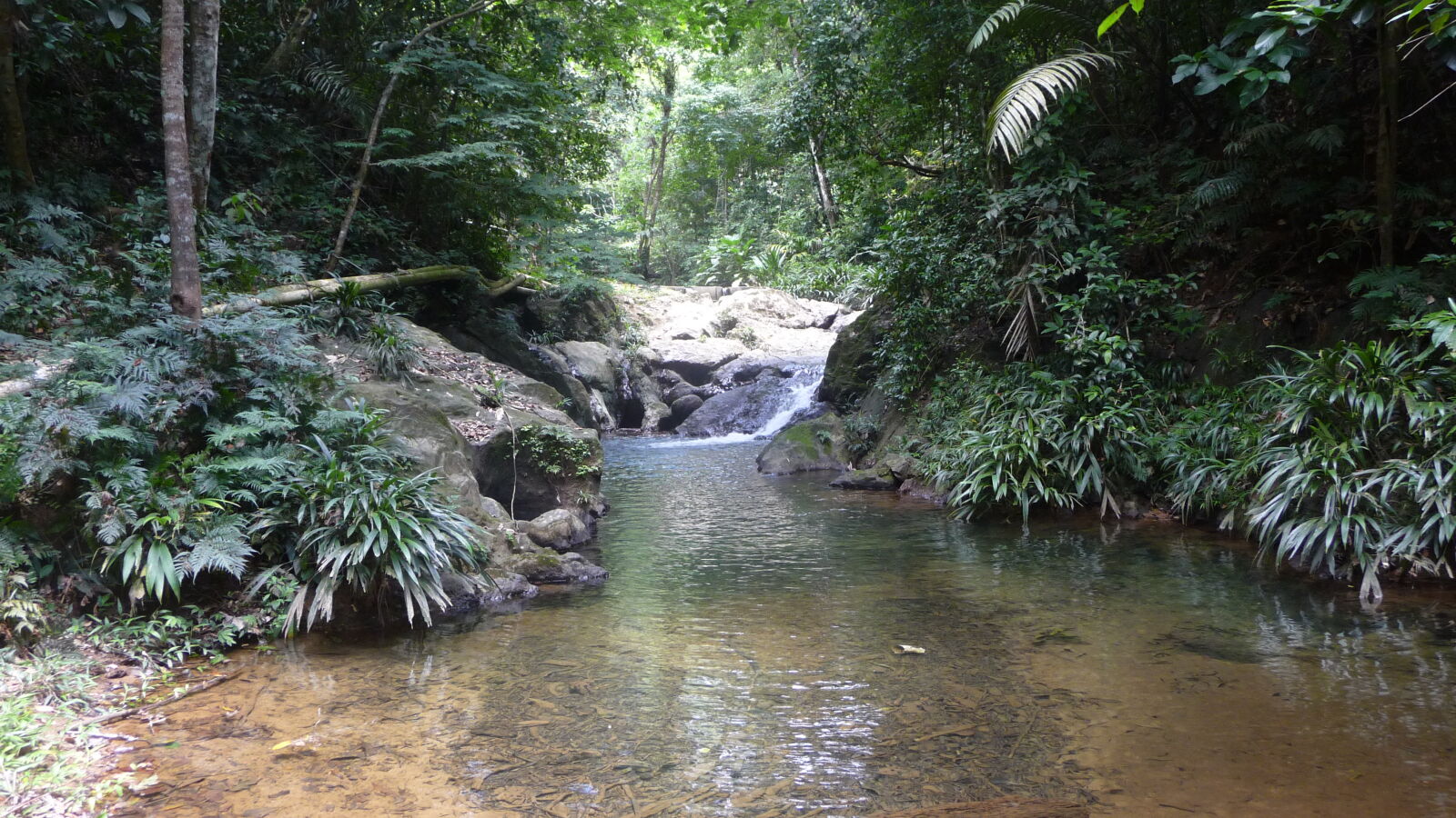 Wanderung entlang der Rio Diablo Wasserleitung.