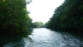 Dinghy-Tour im Rio Diablo.