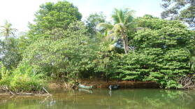 Dinghy-Tour im Rio Diablo.