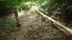 Wanderung entlang der Rio Diablo Wasserleitung.