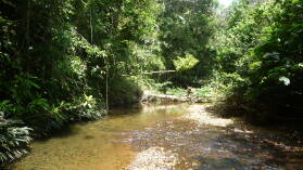Wanderung entlang der Rio Diablo Wasserleitung.