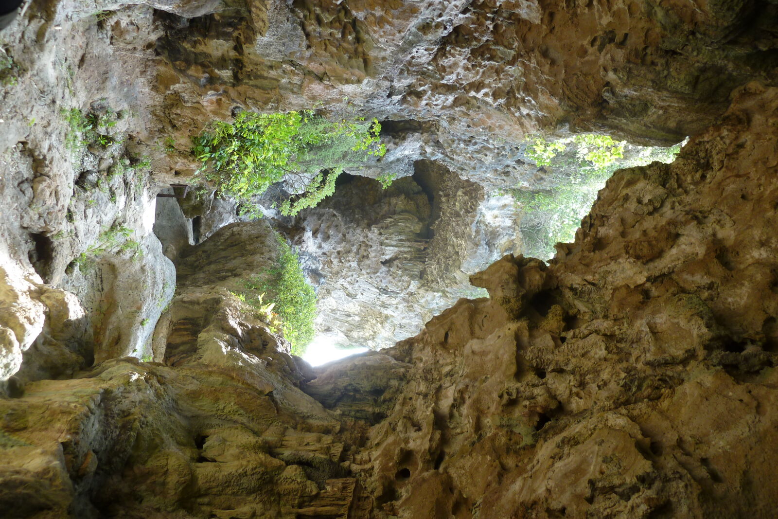 Hala Tahi Avaiki.