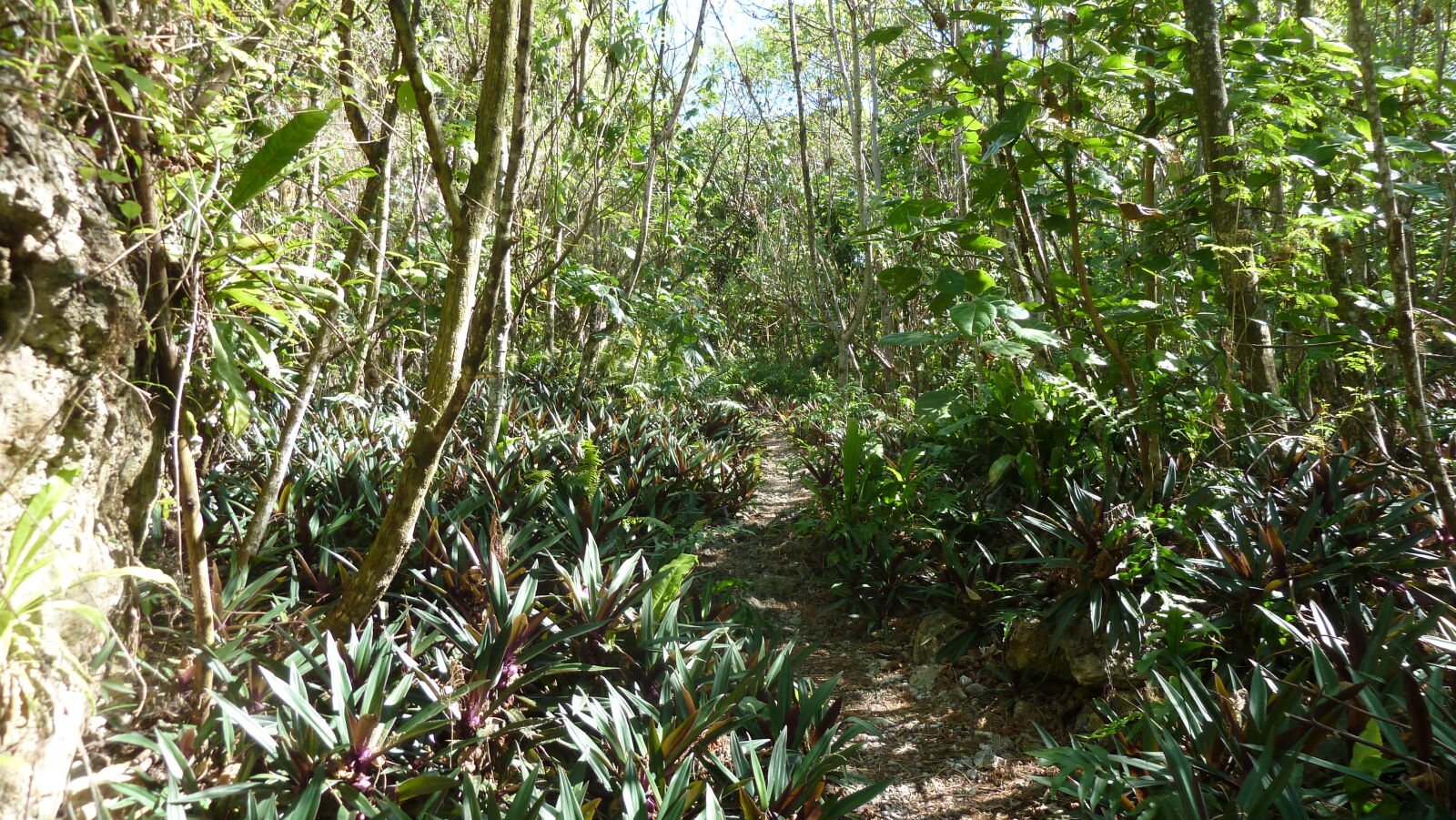 Matapa Chasm.