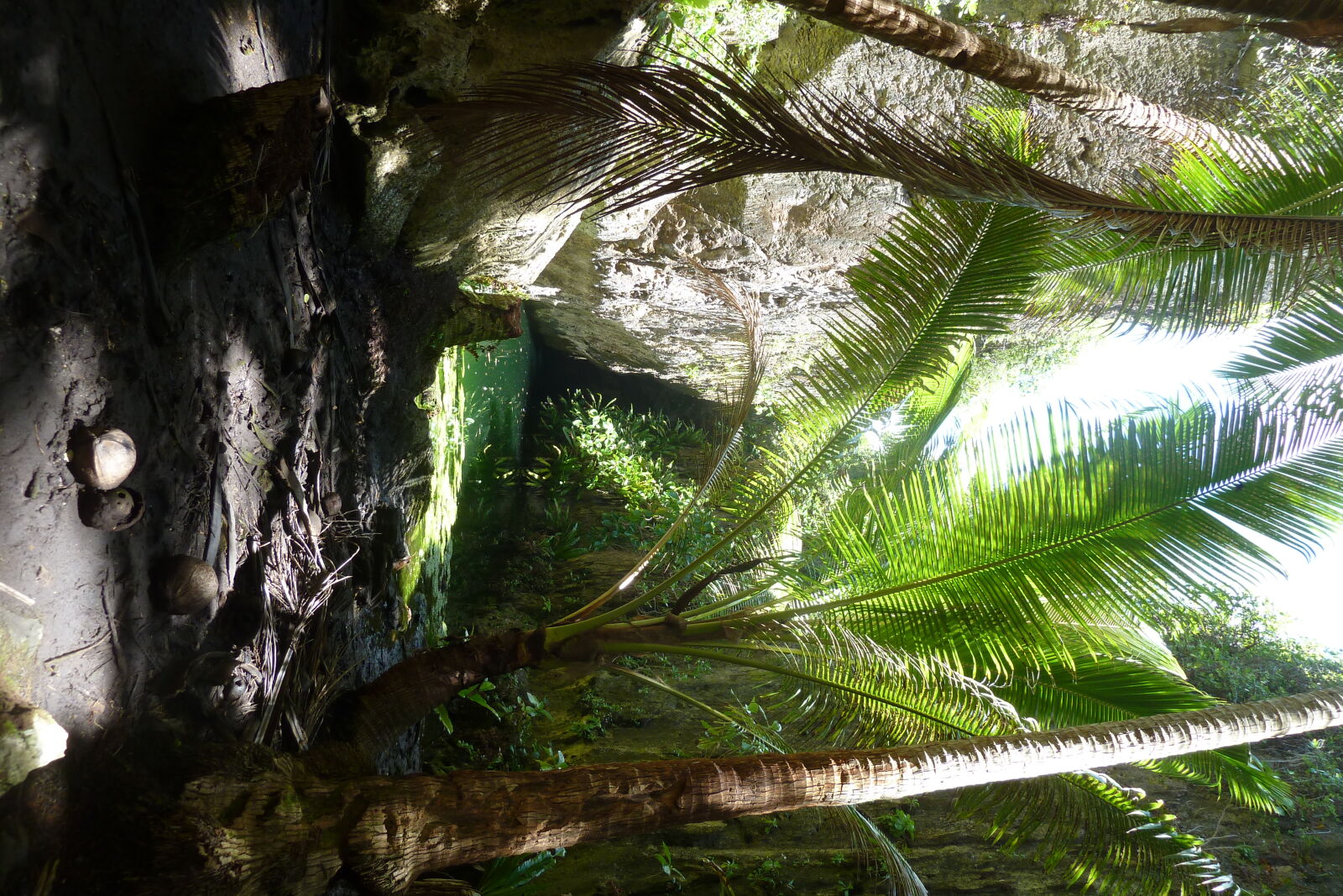 Togo Chasm.