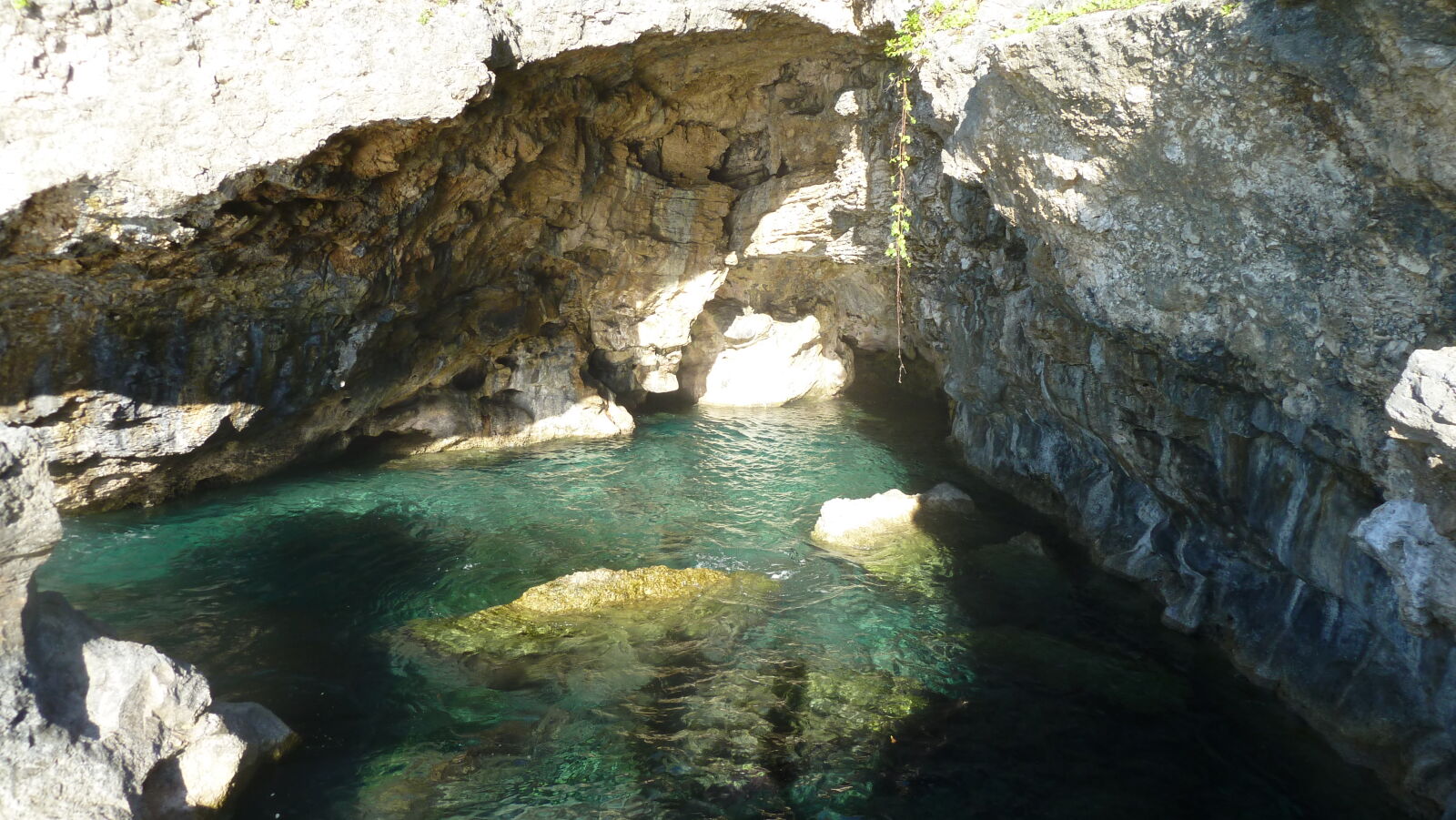 Amanau Sea Track.
