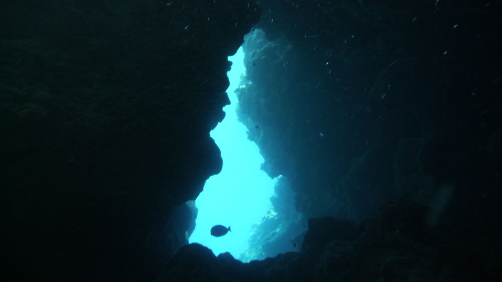 Tauchgang bei Snake Gully.