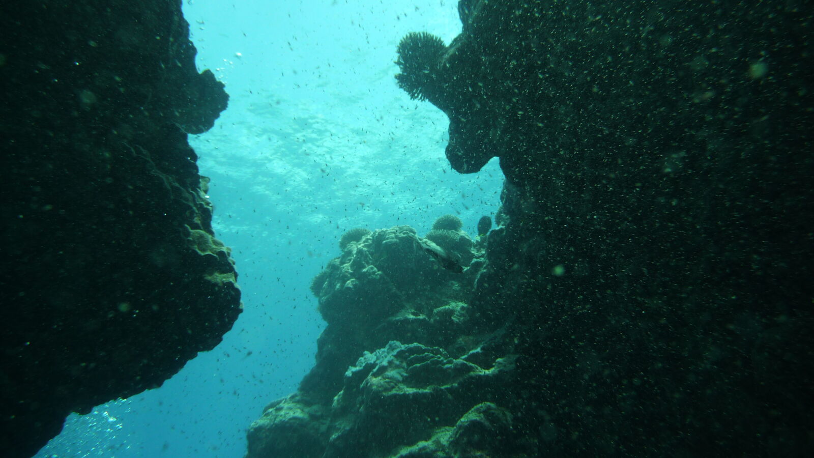 Tauchgang bei Snake Gully.