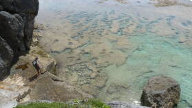 Lakepa Sea Track.