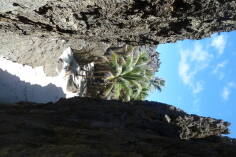 Togo Chasm.