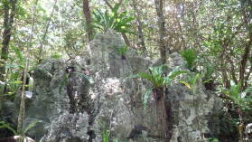 Togo Chasm.