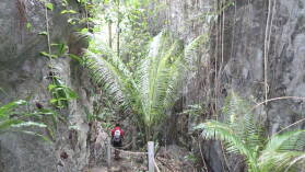 Anapala Chasm.