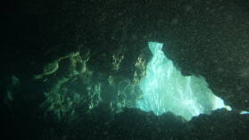 Tauchgang bei Snake Gully.