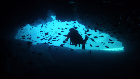 Niue (NU)