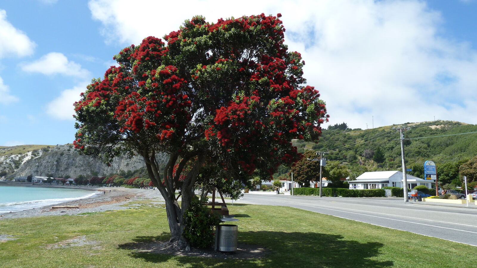 Kaikoura.