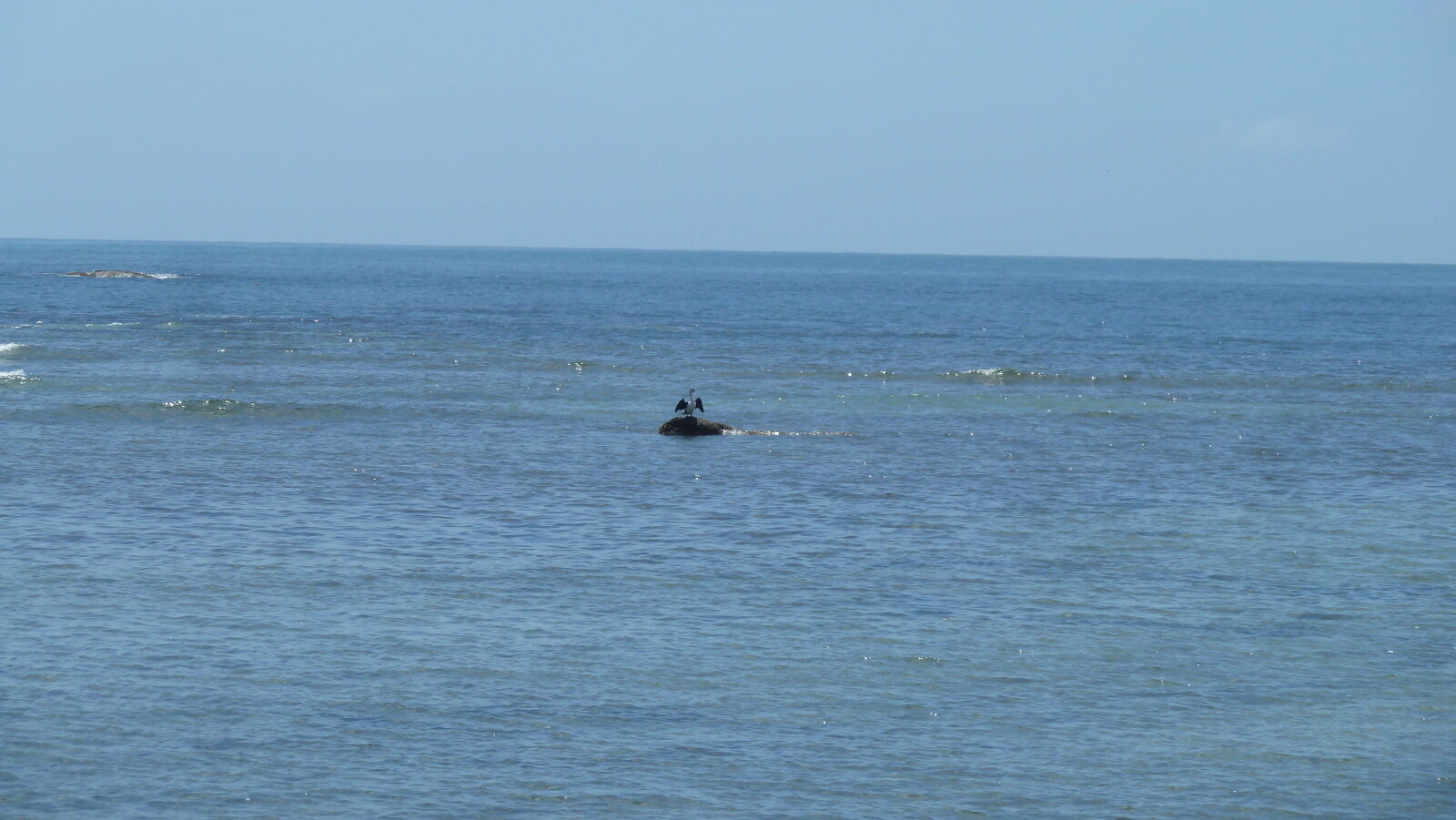 Kaikoura.