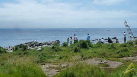 Robben, Moewen, Gaense, Touristen, Kaikoura.