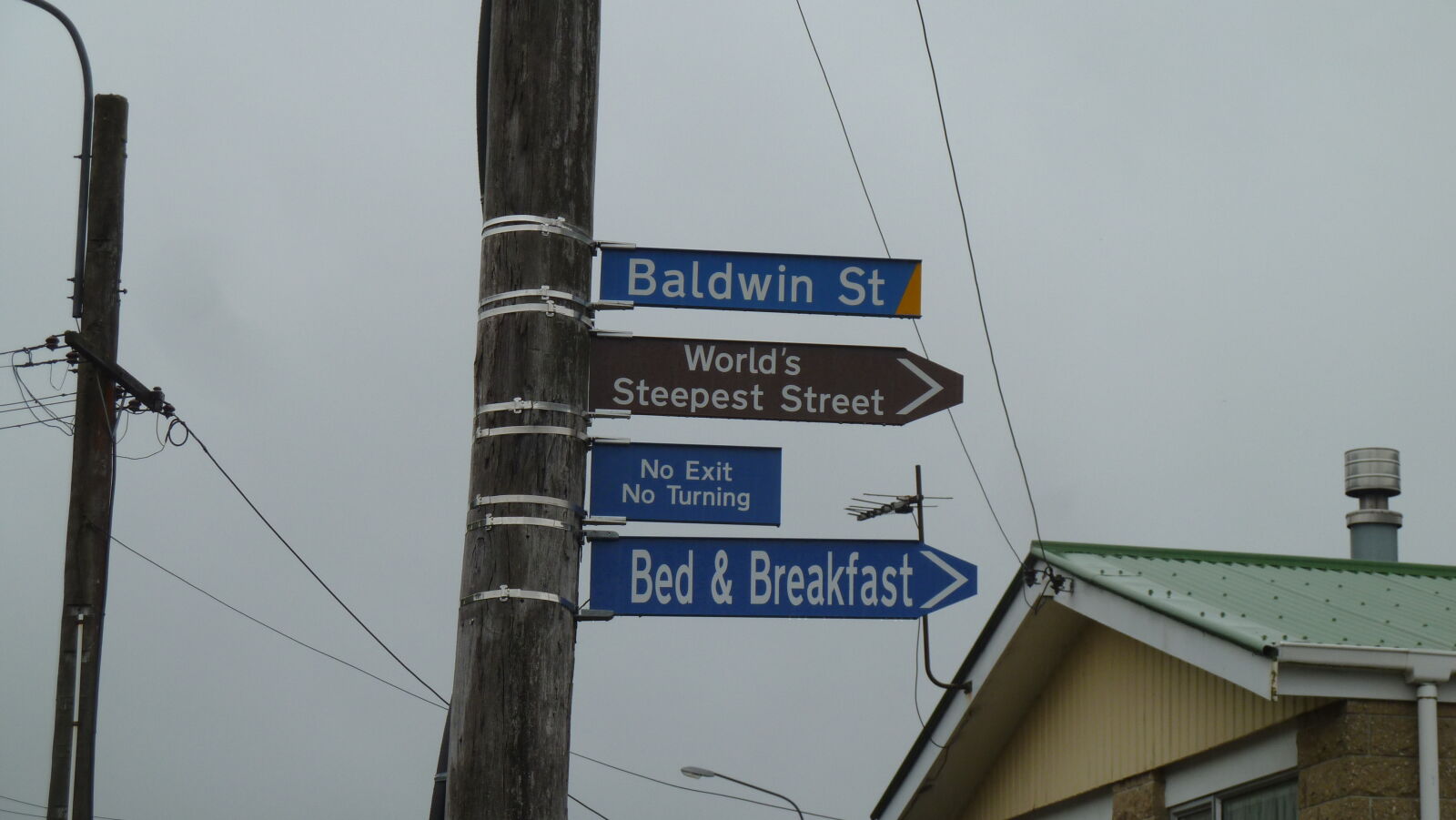 Baldwin Street - World's Steepest Street, Dunedin.