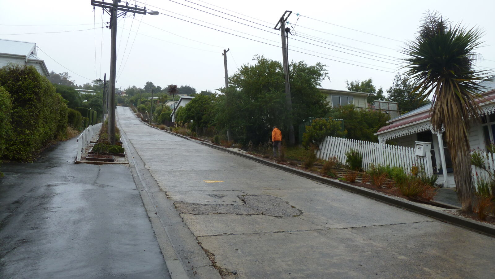 Baldwin Street - World's Steepest Street, Dunedin.