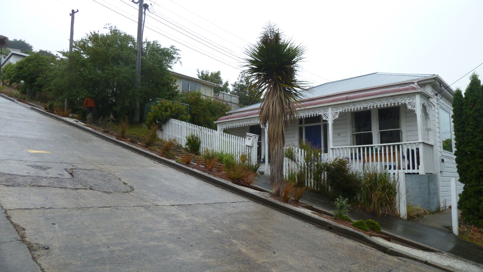 Baldwin Street - World's Steepest Street, Dunedin.