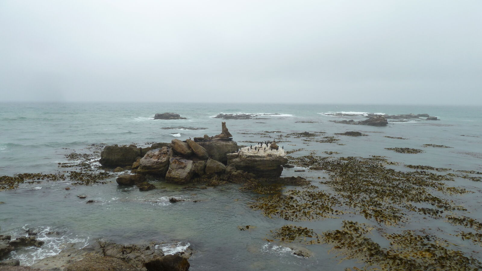 Shag Point.