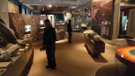 Otago Museum, Dunedin.