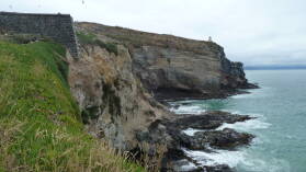 Royal Albatross Center, Otago Peninsula.