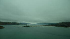 Royal Albatross Center, Otago Peninsula.