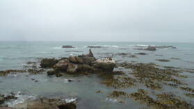 Shag Point.