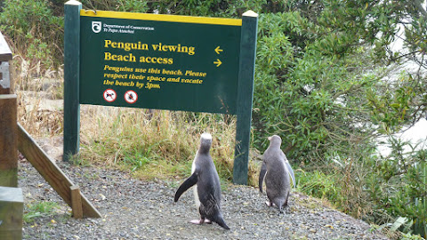 Nochmal Otago (NZ)