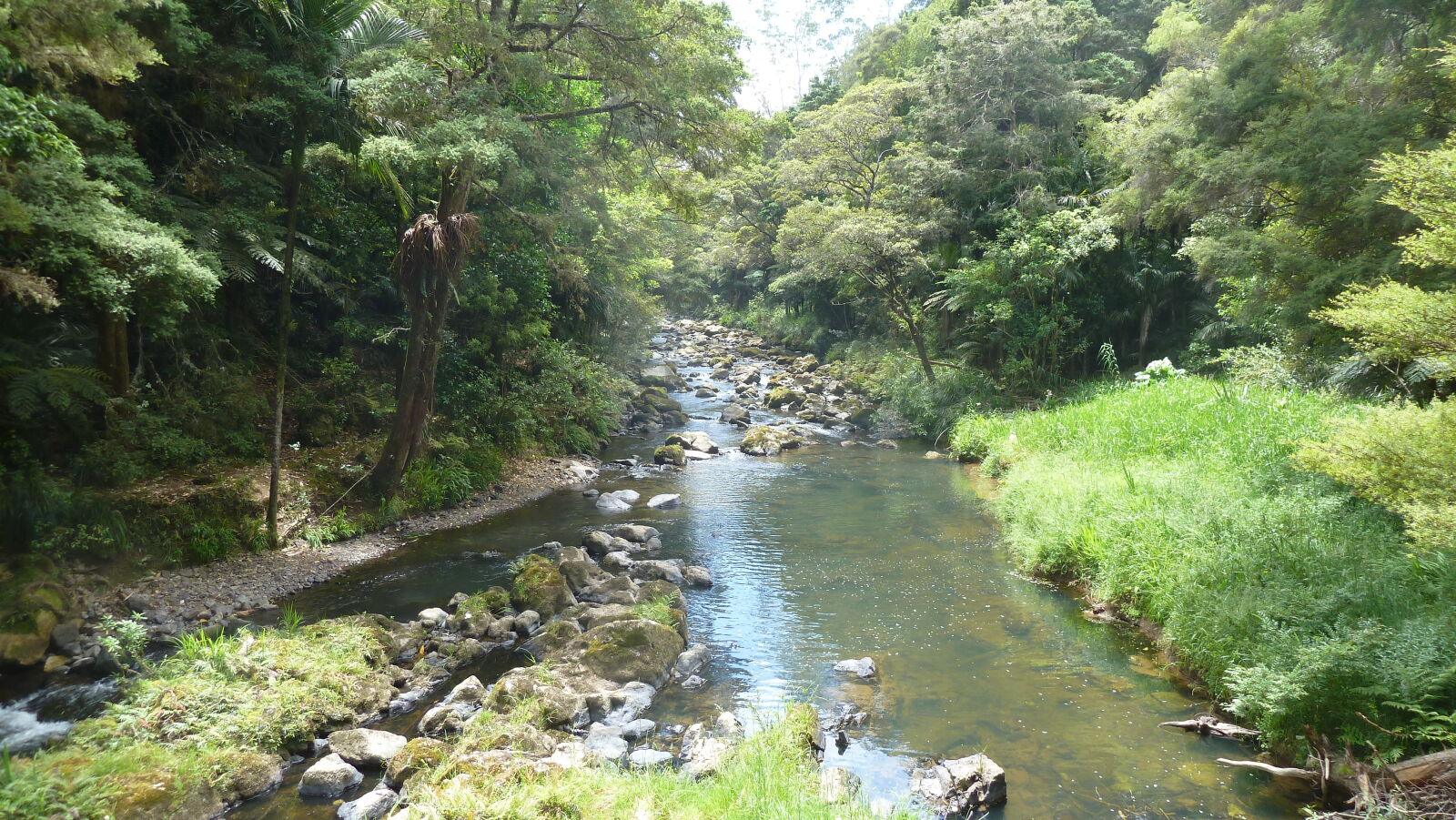 Hatea River Walk, Whangarei.