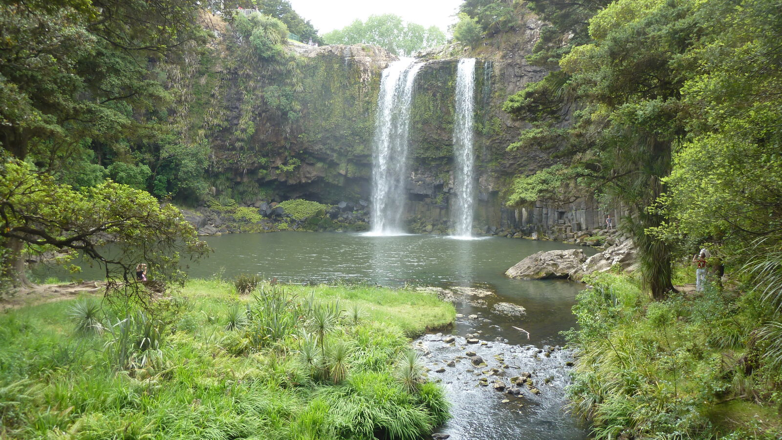 Whangarei Falls, Whangarei.