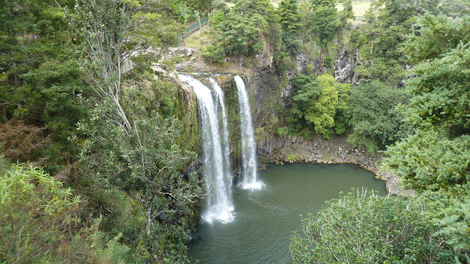 Whangarei Falls, Whangarei.