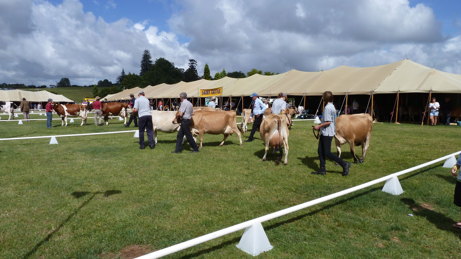 A&P Show Whangarei.